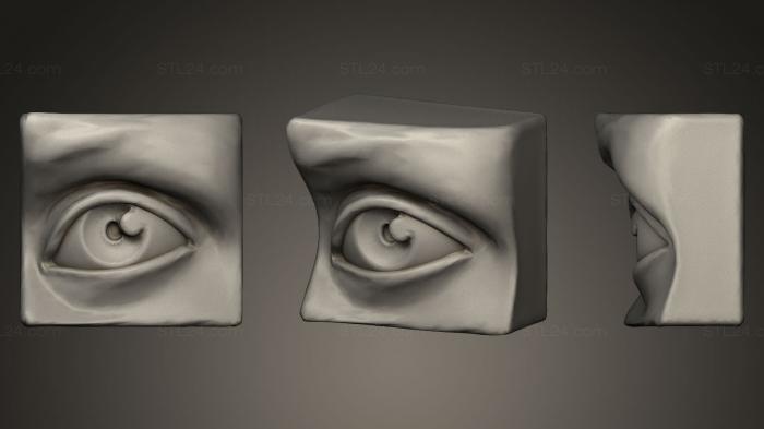Анатомия Глаз